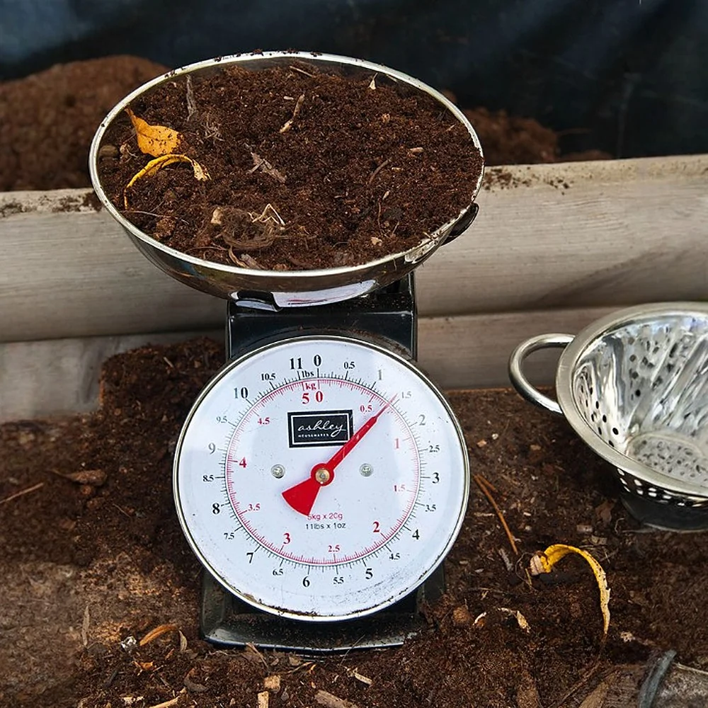 Kitchen Scales