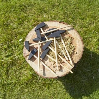 Wood Slices, Nails and Mini Hammers Set
