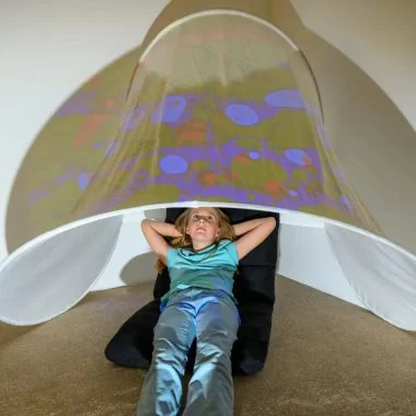 Immersive Sensory Environment Bundle