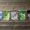 Minibeasts Showerproof Bunting
