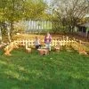 Long Low Picket Fences - Pack of 4