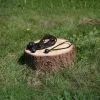 Ball Bungees - Pack of 10