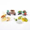 Life Cycle Figures Collections - 16 Piece Set