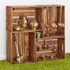 Curiosity Crates - Set of 4