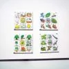 Life Cycle Jigsaws (4Pk)
