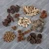 Woodland Loose Parts Set