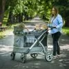 Cabrio Wagon Stroller