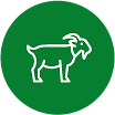 Goat_Icon